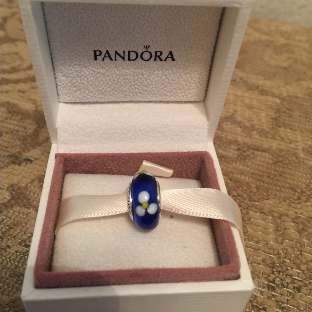 Pandora Murano Glass Bead